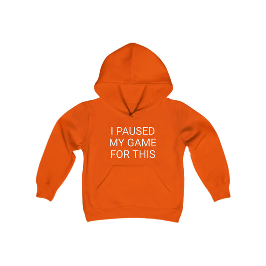 I Paused My Game for This Youth Heavy Blend Hooded Sweatshirt