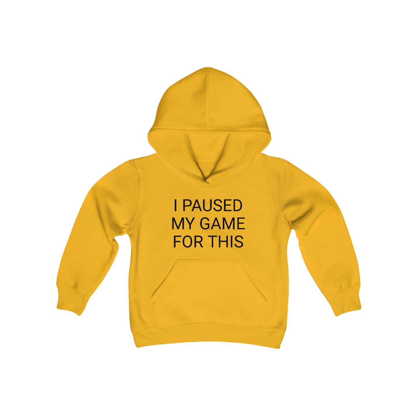 I Paused My Game for This Youth Heavy Blend Hooded Sweatshirt
